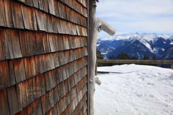 Cedar Siding Repair in Janesville