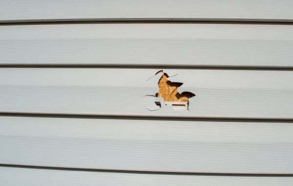 Siding Hole Repair in Janesville